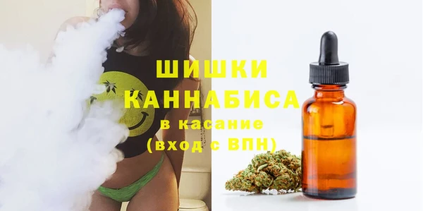 гашик Вяземский