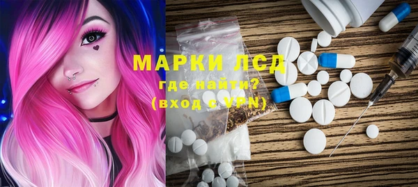 гашик Вяземский