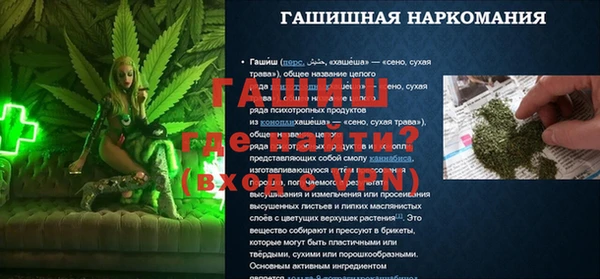 гашик Вяземский