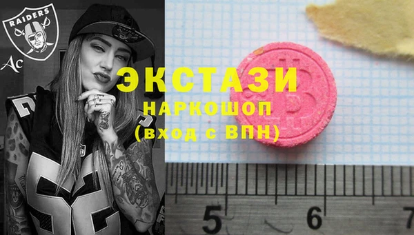 гашик Вяземский