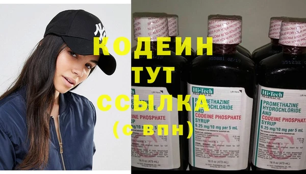 гашик Вяземский