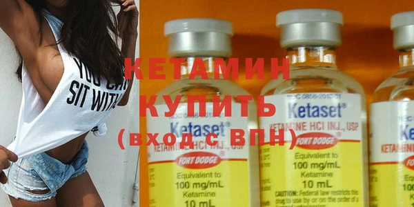 гашик Вяземский