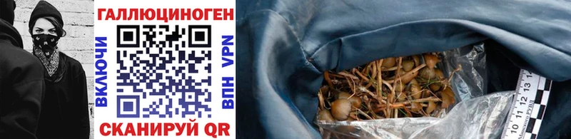 Галлюциногенные грибы мицелий  Яранск 